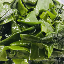 Salad Seaweed Food Kelp Knot